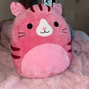 Geraldine Cat Squishmallow NWT ❤️